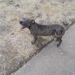 Meet your Posher, Nathan